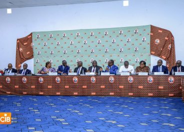 29e séance de Direction du RHDP